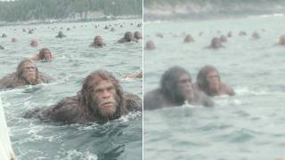 Ferry Crew Filmed Dozens of Sasquatch Swimming Between Islands Off the BC Coast