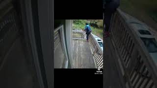 the Amazon delivery life!! Lady Attacked by a Dog...Fear of a Lifetime