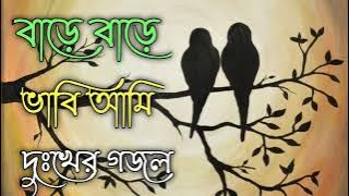 Bangla Gojol | নতুন গজল সেরা গজল | Islamic Gazal Amazing Islamic Naat |gojol 2023 Ghazal Notun gojol