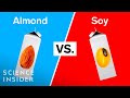 Understanding Non-Dairy Milks
