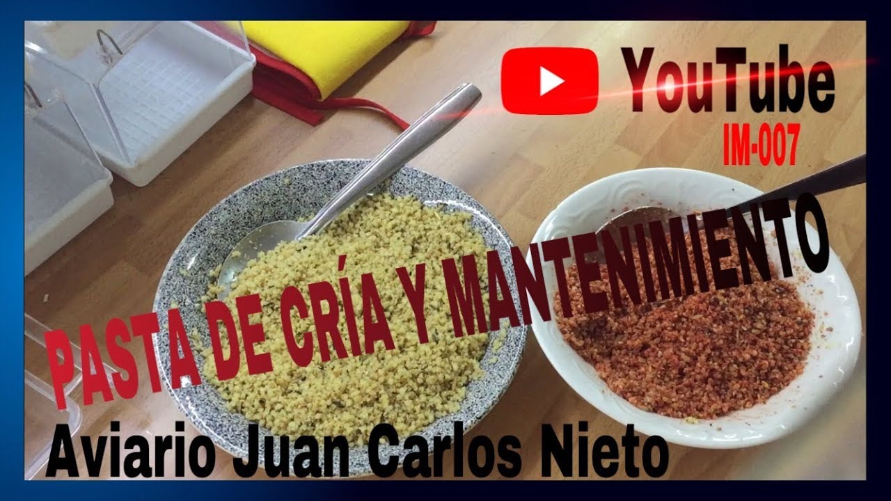 0043 PASTA DE CRIA Y MANTENIMIENTO