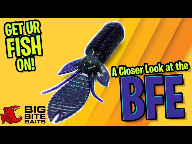 BEST FLIPPING BASS BAIT EVER?? Closer Look at theBig Bite