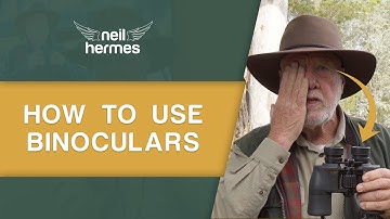 How To Use Binoculars For Bird Watching - A Beginners Guide!