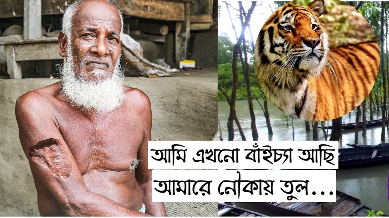বাঘের মুখে আলম গাজী | বাঘে মানুষে সুন্দরবন গল্প | Tiger attack | Real