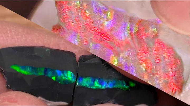 BATTLE!  Black Opal vs. White Opal  [Head-to-Head]