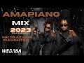AMAPIANO MIX 2023 featuring Nkosazana Daughter | 23 Jan | Dj Webaba
