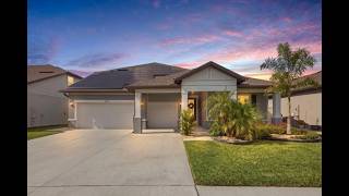 9442 IBIS GROVE BLVD, WESLEY CHAPEL, FL 33545