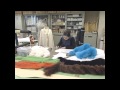 毛皮の縫製方法と加工方法・お手入れ・クリーニング