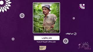 في ظل الأجواء اللاهبة .. نصائح للمزارعين وأصحاب الحدائق المنزلية لرعاية المزروعات والمحاصيل النباتية