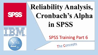 Reliability Analysis, Cronbach Alpha in SPSS (Lesson 6)