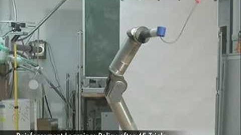 Learning Motor Primitives for Robotics