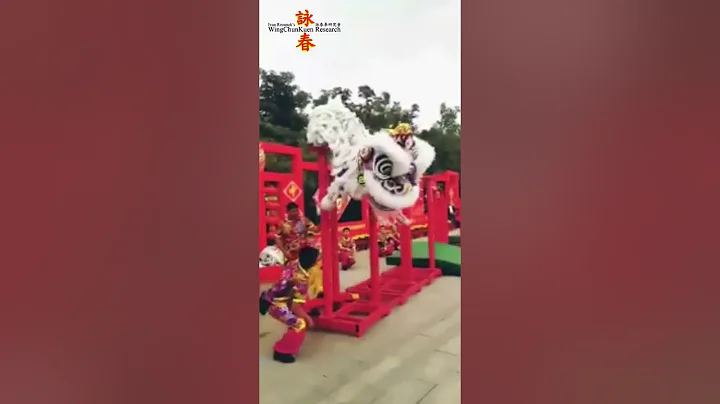 Kung Fu (WingChun, Choi Lei Fat, Hung Kuen...) and Lion dance, China, street performance