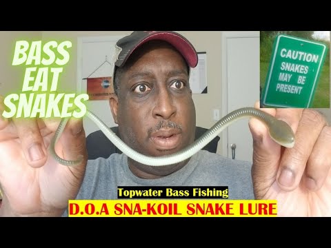 Catching Bass, Bass Fishing lure, D.O.A. Sna-Koil