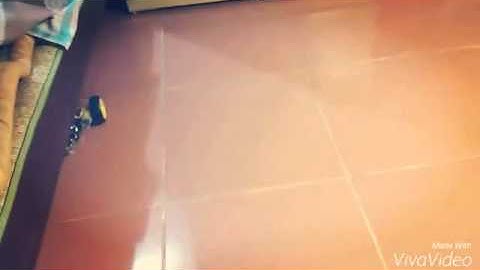 Demo xe tự hành tránh vật cản.