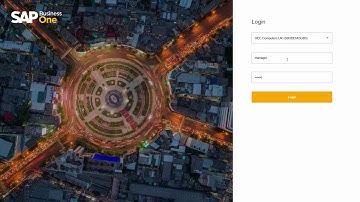 SAP Business One Web Client   Overview in SAP Business One 10 0