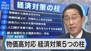 物価高、賃上げ…経済対策「5本柱」を検証「年収の壁」 気にせず働けるようになる？【Bizスクエア】