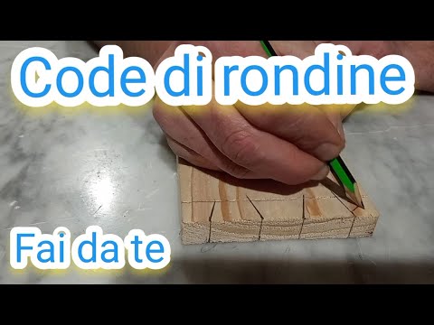 Video: Le code di rondine vanno bene?