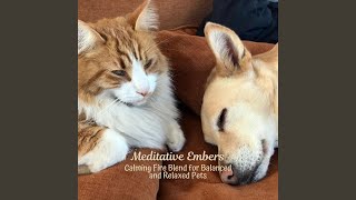 Calming Fire Pets' Harmony