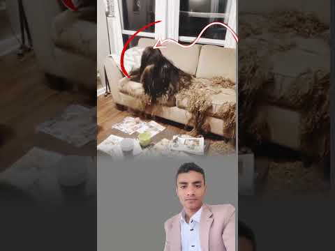 كل شعرة من الصوف تحولت إلى خيوط مرعبة نسجت هيئة شبح يجلس على السرير اكسبلور  