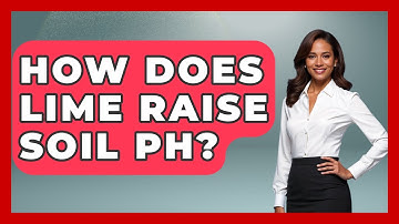 How Does Lime Raise Soil PH? - The World of Agriculture