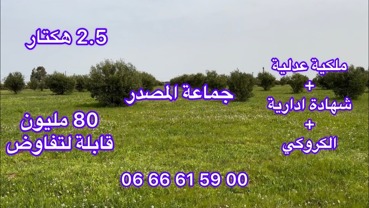 2 قطارات ونصف بها اشجار الزيتون ملكية عدلية بجماعة سيدي علال المصدر الخميسات 