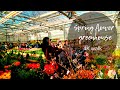 Flower greenhouse walk | Spring flowers in Aptekarskiy ogorod - MSU Botanical Garden