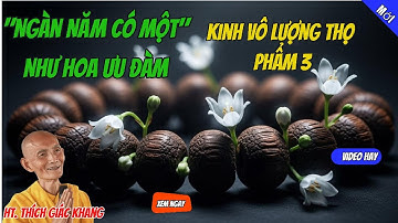 "Ngàn Năm Có Một" Như Hoa Ưu Đàm | Kinh Vô Lượng Thọ Phẩm 3| Thích Giác Khang