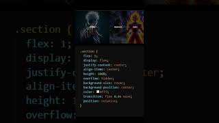 Stylish Section Hover Animations with HTML & CSS #coding #htmltutorial #css #html