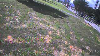 Shendrones Mitsuko Bidadari Prop 4045Bnt4045Bn Te