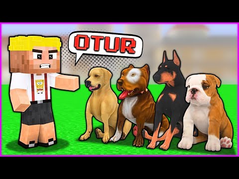 EFEKAN KÖPEK ÇETESİNİ EĞİTİYOR! 😂 - Minecraft