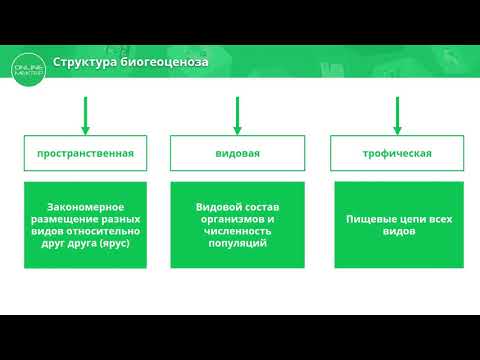 11 класс. Биология. Естественные сообщества живых организмов. Биогеоценозы. 10.04.2020