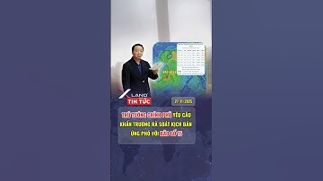 Thủ tướng Chính phủ yêu cầu khẩn trương rà soát kịch bản ứng phó với bão số 15 #baoso15 #bão #koto