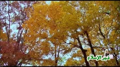 سورة يوسف الشيخ محمد حسان