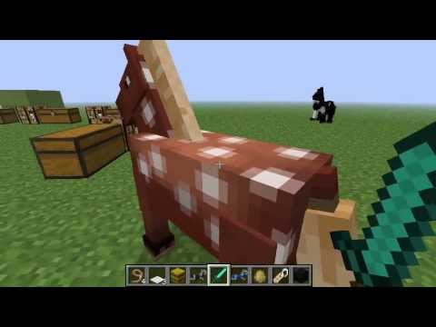 Video: Kaip Padaryti Balną Minecraft