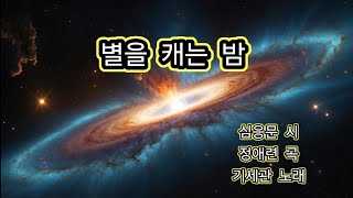 별을 캐는 밤(: 심응문 시/정애련 곡) - 베이스 기세관. 2024. 5. 22.