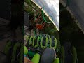 Medusa '99 is BACK! #sixflagsgreatadventure #rollercoaster #amusementpark #themepark