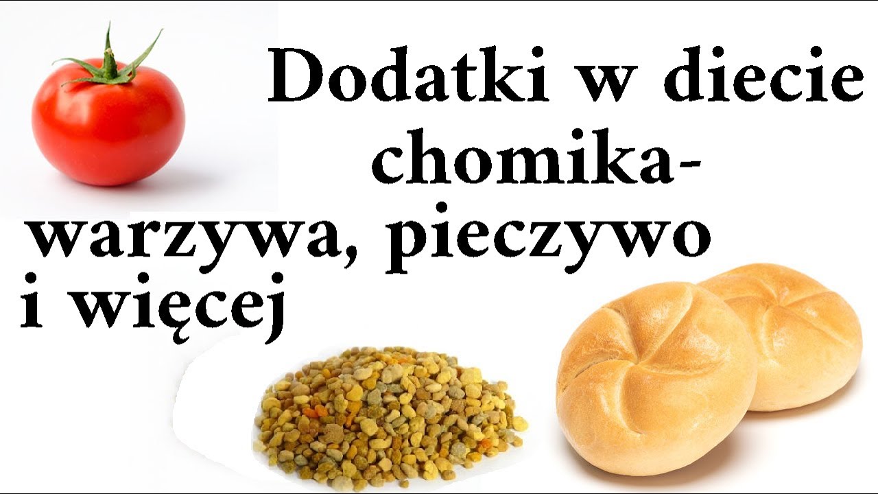 Dodatki do diety chomika- warzywa, pieczywo i ser