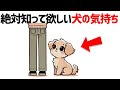 犬との10の約束。犬を飼ってる人、これから飼う人に知って欲しい10のこと【犬十戒】