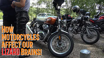 Why do We ride Motorcycles & How do they affect our Lizard Brains?