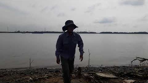 Bãi câu thiên nhiên trong KCN Hiệp Phước - Nhà Bè (sông Soài Rạp)