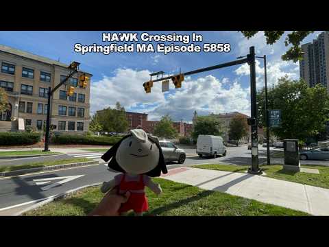 Elinor and Friends HAWK Crossing In Springfield MA Episode 5858