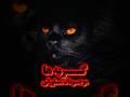 داستان ترسناک کوتاه گربه ها موجودات ماورا جن اشباح ارواح جن گیری طلسم شیطان همزاد تسخیر دعانویس ورد 