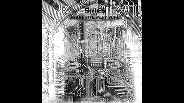Sines of Exquisite Pleasure - The Institute of Divine Electricity: Uncollected Works 1991-2000
