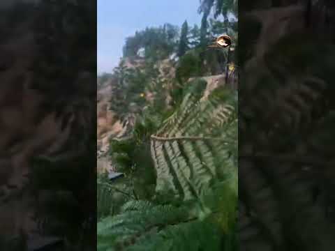 واتخيل اشقد ما اشوفك ولا تنمل