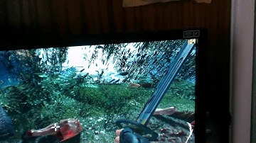 Shadow Warrior 2013 - Performance issue - Please read description