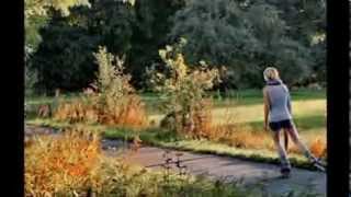 Stormarnlive-Fotoshow Herbst In Stormarn