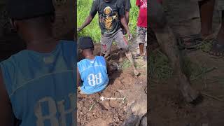 Months of heavy rainfall left the ground so soft that the machine became stuck in deep mud.