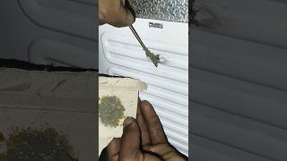cooling chember lick // #trending shortsvideo #hk technical