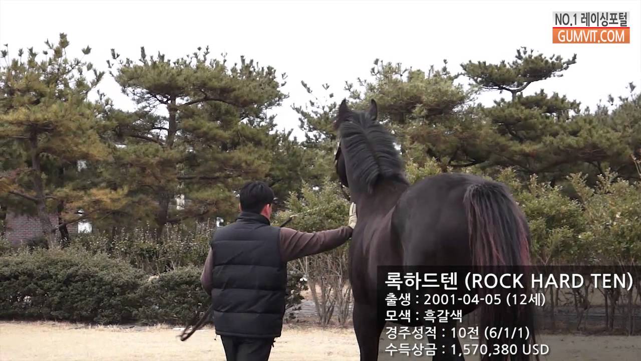 제주도 목장 탐방 - KRA 경주마 육성 목장