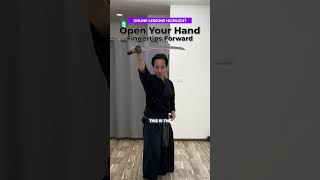 Dont Grip the Hilt #iaijutsu #onlinelessons
